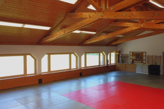 Bild 1 von Explosives Wing Chun Partnergalerie