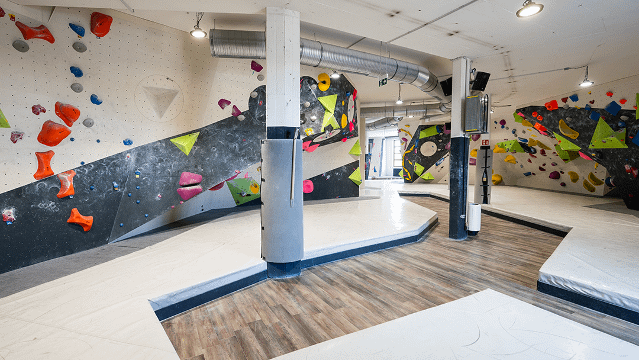 Bild 2 von urban apes Norderstedt Partnergalerie