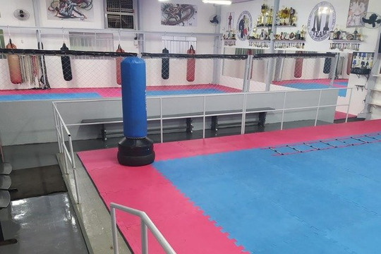 Imagem 1 da galeria do parceiro N1 Team Brasil