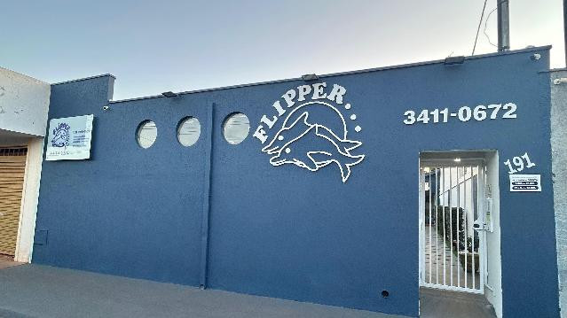 Imagem 2 da galeria do parceiro Flipper Natação