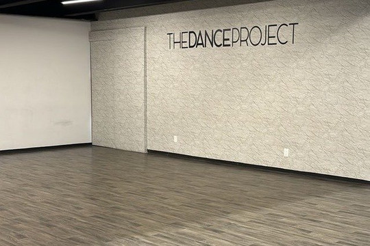 Imagen 1 de la galería del partner The Dance Project ze
