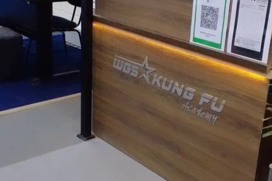 Imagem 2 da galeria do parceiro WGS KUNG FU ACADEMY
