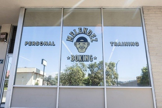 Image 2 from Melendez Boxing and Personal Training partner gallery