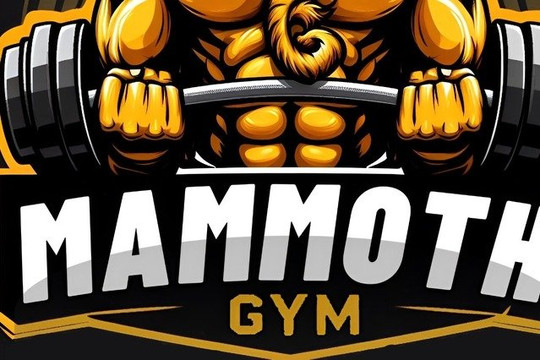 Imagem 2 da galeria do parceiro Connect Fitness