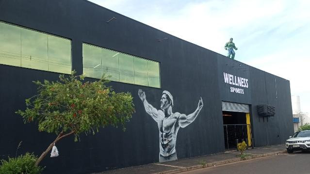 Imagem 2 da galeria do parceiro Wellness Sports