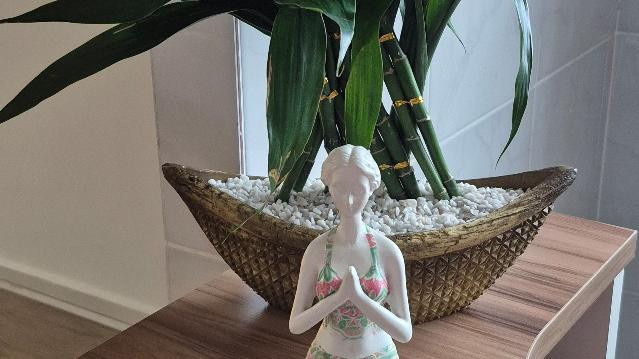 Imagem 3 da galeria do parceiro Equilibre Studio de Yoga