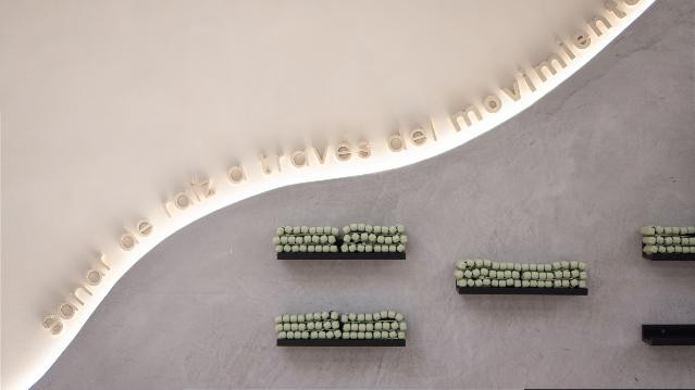 Imagen 1 de la galería del partner ROOTS