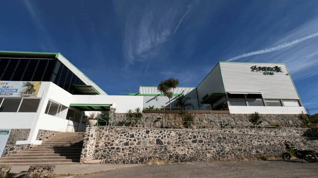 Imagen 2 de la galería del partner ROOTS