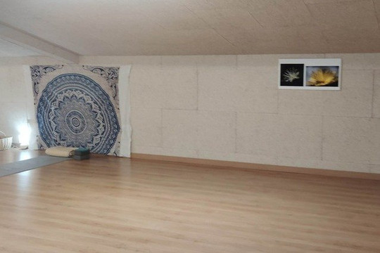 Imagen 1 de la galería del partner Cami de Ioga