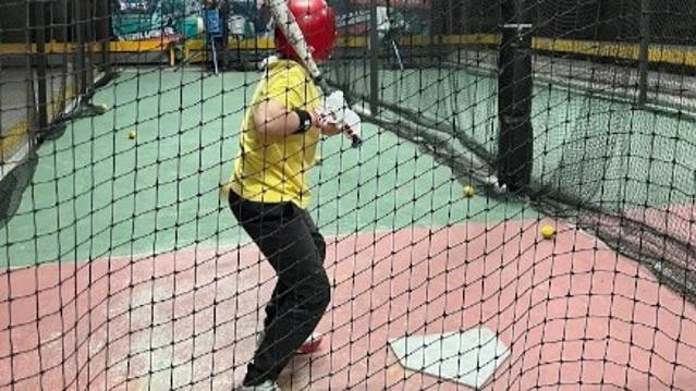 Imagen 3 de la galería del partner B-BAT - Mixcoac