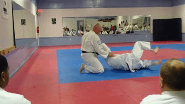 Image 2 from Clear Creek Aikido partner gallery