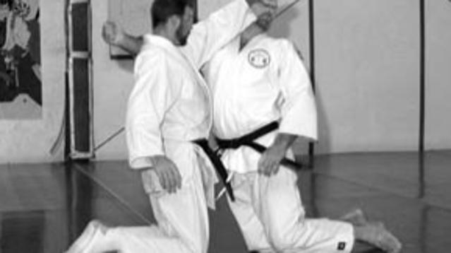 Image 3 from Clear Creek Aikido partner gallery