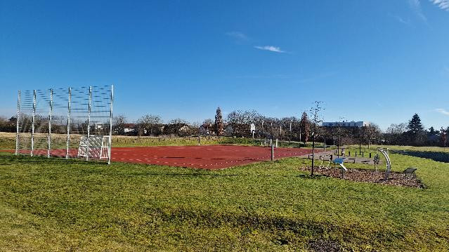 Bild 2 von Team Lena - Bonn Partnergalerie