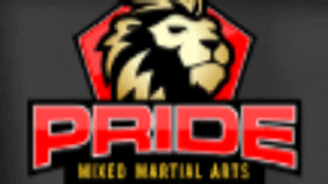 Image 3 from Pride Mixed Martial Arts partner gallery