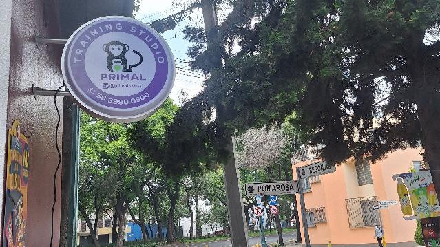 Imagen 2 de la galería del partner Primal Training Studio