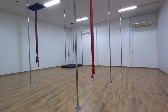 Imagem 1 da galeria do parceiro ACRO POLE SPORT STUDIO (POLE DANCE)