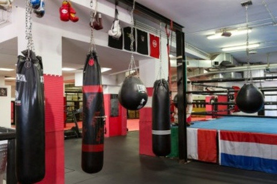 Immagine 1 dalla galleria del partner Invictus Arena