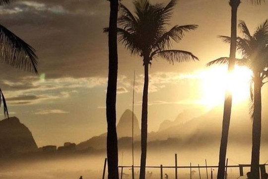 Imagem 1 da galeria do parceiro Centro de Treinamento Shark Rio