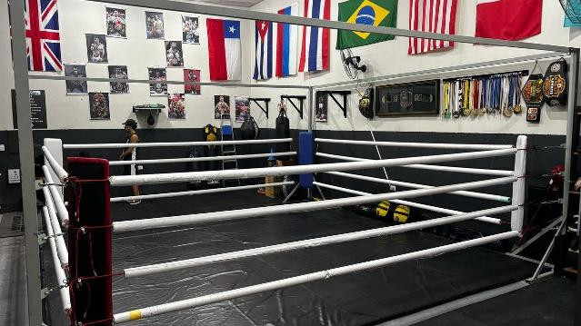 Imagem 1 da galeria do parceiro Escola de Boxe Saulo Blade