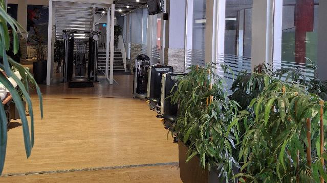 Bild 2 von Fitness Unlimited Charlottenburg Partnergalerie