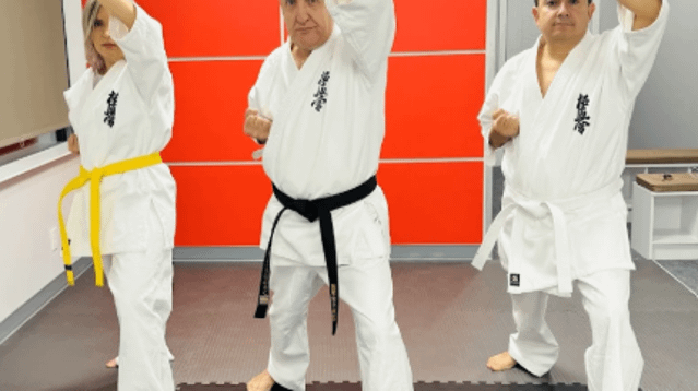 Image 3 from Elite Kyokushin Budo Karate partner gallery