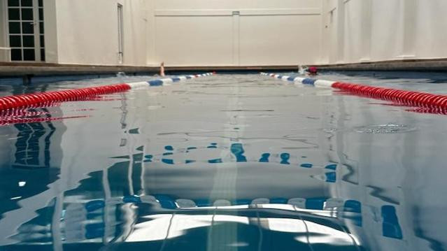 Imagen 2 de la galería del partner Aquatic Club