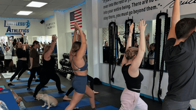 Image 3 from Limitless Athletics partner gallery