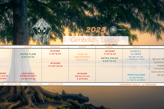 Imagen 2 de la galería del partner Yoganauta