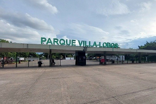 Imagem 2 da galeria do parceiro Giulia Fanti Patinação Artística