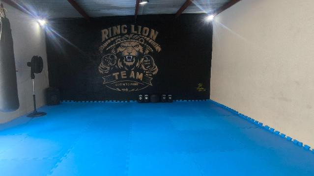 Imagem 1 da galeria do parceiro Ring Lion Team
