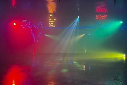 Imagem 1 da galeria do parceiro Hauzi Gym Dance