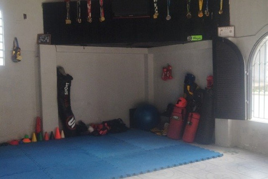 Imagem 1 da galeria do parceiro Studio de Lutas MT