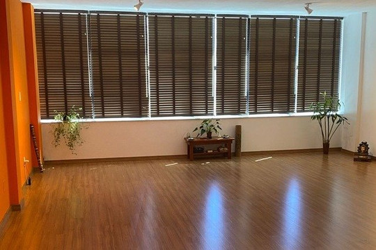 Imagem 1 da galeria do parceiro Surya Yoga Shala