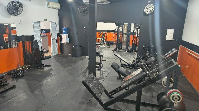 Imagem 3 da galeria do parceiro Lion Fit Studio