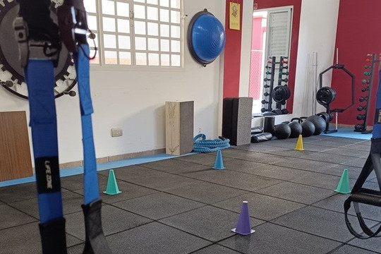 Imagem 1 da galeria do parceiro Studio Strapasson: Pilates e Treinamento Funcional