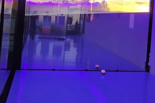 Imagem 3 da galeria do parceiro Yôga no Jardim
