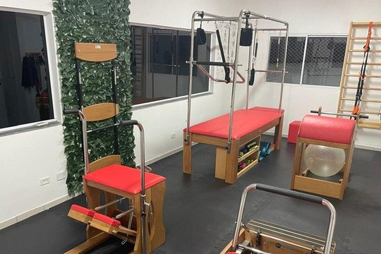 Imagem 1 da galeria do parceiro Meu Estúdio Pilates