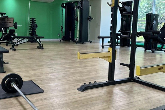 Imagem 1 da galeria do parceiro Studio MOVA