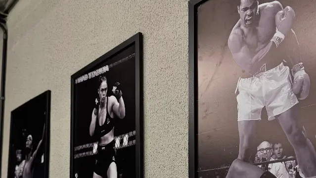 Imagem 2 da galeria do parceiro STUDIO FIGHTING