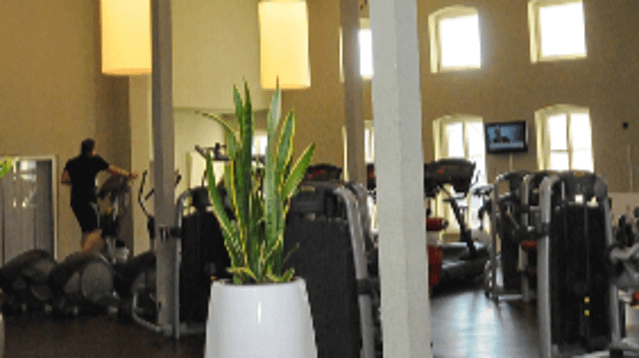 Bild 3 von Fitnesspark Hettstedt Partnergalerie
