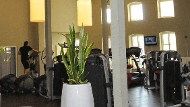 Bild 2 von Fitnesspark Hettstedt Partnergalerie