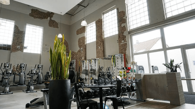 Bild 1 von LADYlike Partnergalerie