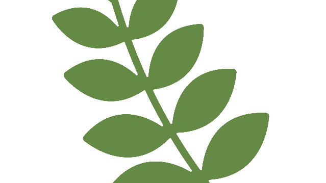 Imagen 3 de la galería del partner Chez Sortie