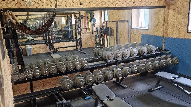 Immagine 1 dalla galleria del partner SPARTAN TRAINING & CALISTHENICS