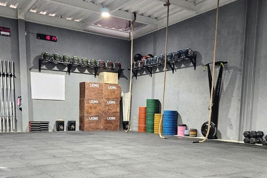 Imagen 1 de la galería del partner LIONS CROSS