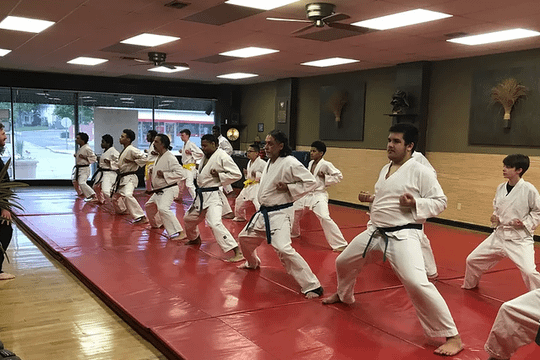 Image 1 from Hillcrest Academy of Goshin Jujitsu partner gallery