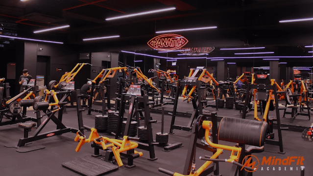 Imagen 1 de la galería del partner Mindfit Valparaíso