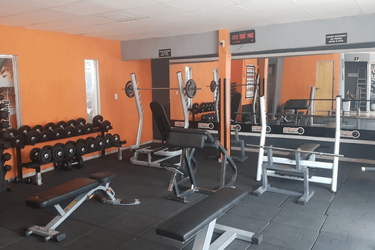 Imagem 1 da galeria do parceiro Academia Fênix 7