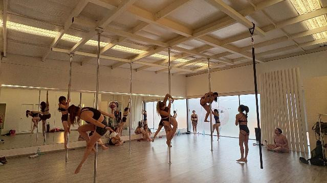 Imagen 1 de la galería del partner Shape Pole Fitness Carretera