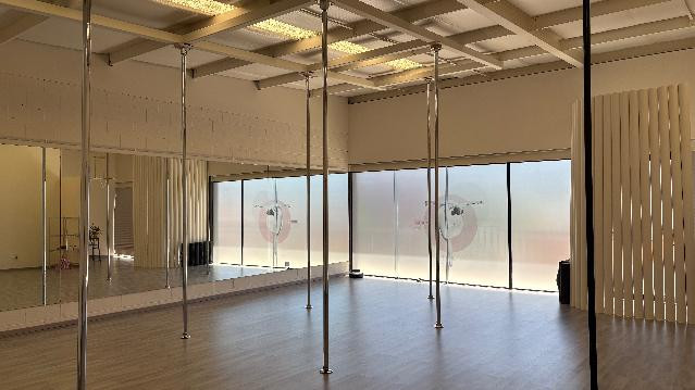 Imagen 2 de la galería del partner Shape Pole Fitness Carretera